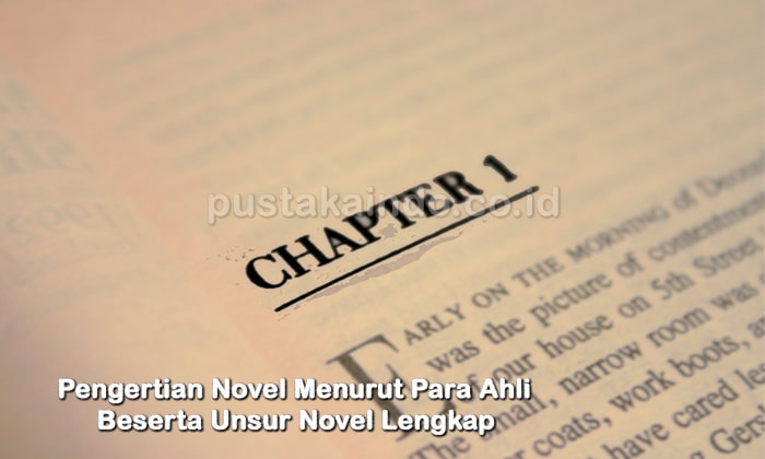 Pengertian Novel Menurut Para Ahli Beserta Unsur Novel Lengkap