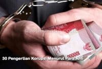 30 Pengertian Korupsi Menurut Para Ahli