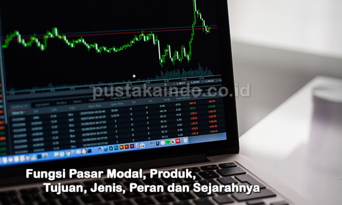 Fungsi Pasar Modal, Produk, Tujuan, Jenis, Peran dan Sejarahnya