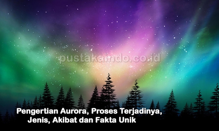 Pengertian Aurora, Proses Terjadinya, Jenis, Akibat dan Fakta Unik