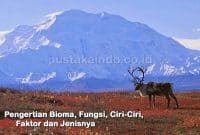 Pengertian Bioma, Fungsi, Ciri-Ciri, Faktor dan Jenisnya