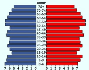 Pengertian Piramida Penduduk, Fungsi dan Jenis-Jenisnya