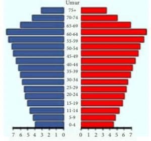 Pengertian Piramida Penduduk, Fungsi dan Jenis-Jenisnya