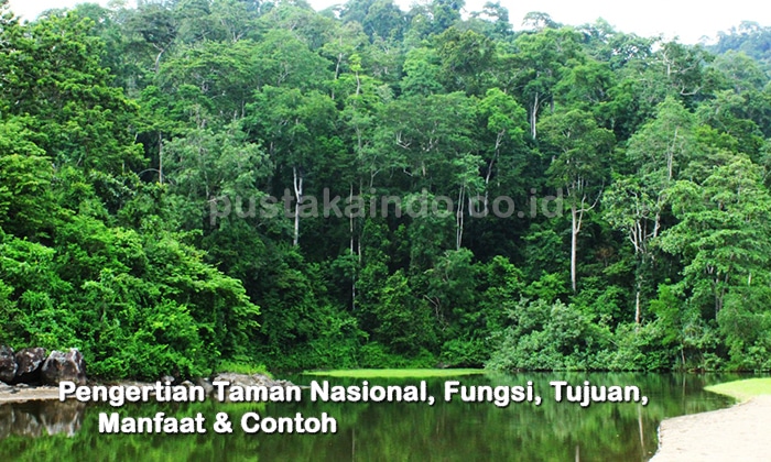 Pengertian Taman Nasional, Fungsi, Tujuan, Manfaat & Contoh