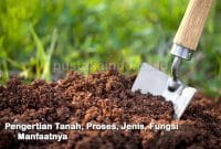 Pengertian Tanah, Proses, Jenis, Fungsi dan Manfaatnya