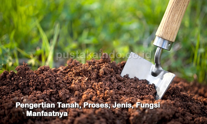 Pengertian Tanah, Proses, Jenis, Fungsi dan Manfaatnya