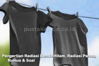 Pengertian Radiasi Benda Hitam, Radiasi Panas, Rumus & Soal