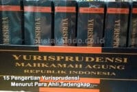 15 Pengertian Yurisprudensi Menurut Para Ahli Terlengkap