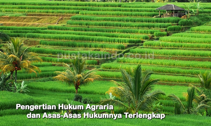 Pengertian Hukum Agraria dan Asas-Asas Hukumnya Terlengkap