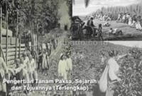 Pengertian Tanam Paksa, Sejarah dan Tujuannya (Terlengkap)