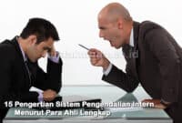 15 Pengertian Sistem Pengendalian Intern Menurut Para Ahli Lengkap