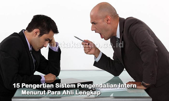 15 Pengertian Sistem Pengendalian Intern Menurut Para Ahli Lengkap