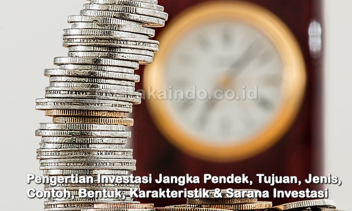 Pengertian Investasi Jangka Pendek, Tujuan, Jenis, Contoh, Bentuk, Karakteristik & Sarana Investasi